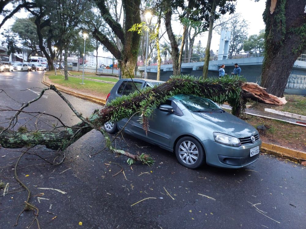 Queda de árvore atinge veículo em Bento Gonçalves 