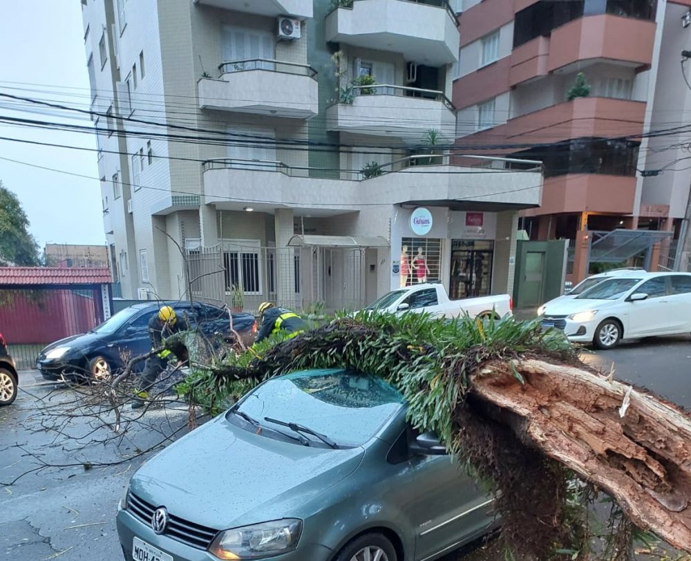 Queda de árvore atinge veículo em Bento Gonçalves 