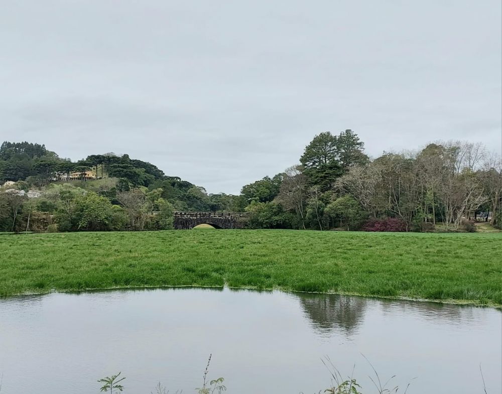 Marrequinhas, Salvinias e agora mato aparece na barragem! 