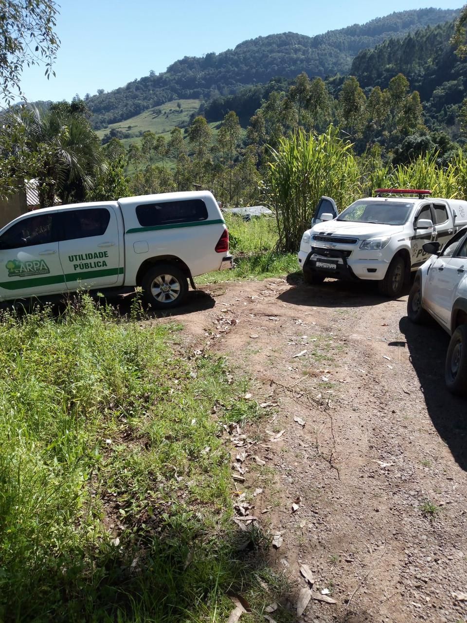 Polícia Civil apreende armas e animais abatidos em Coronel Pilar 