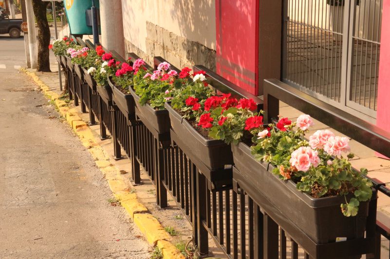 Gradis floridos são instalados em diversos pontos de Garibaldi