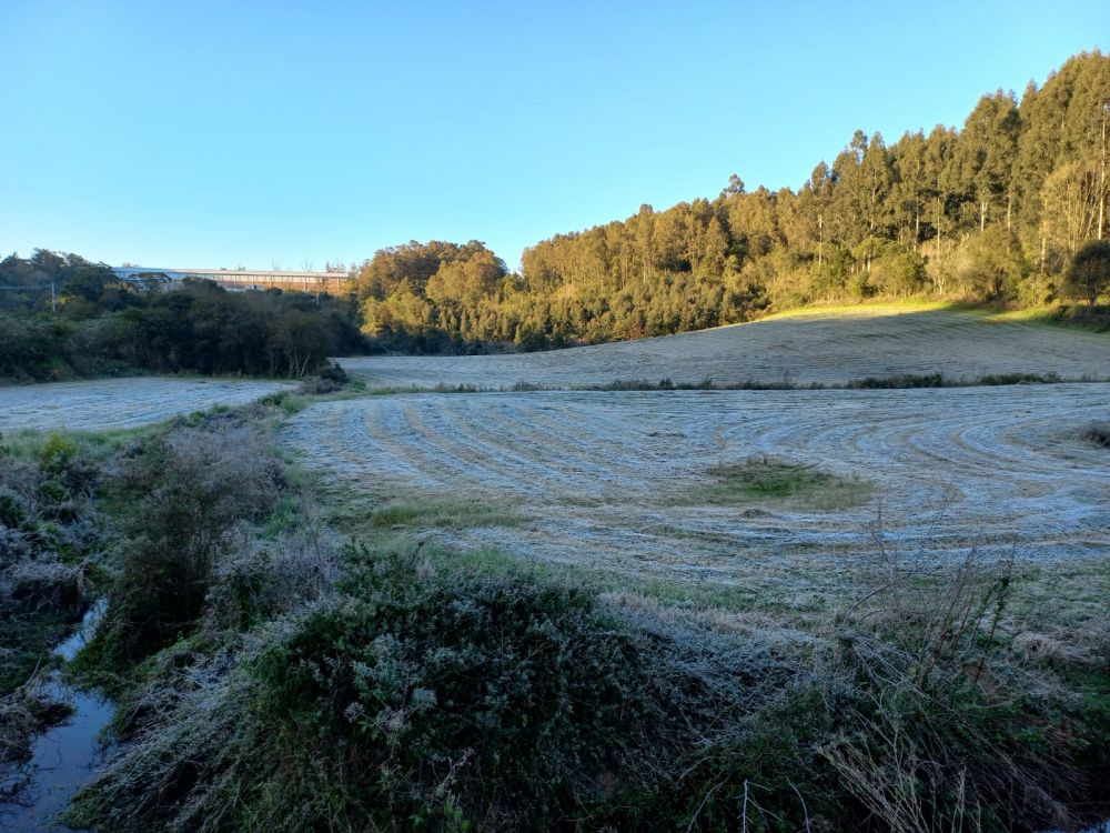  Sábado amanhece com geada na região da Serra