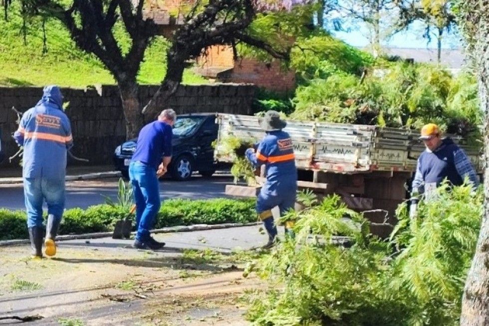 Termina nesta quinta o prazo para realizar podas 