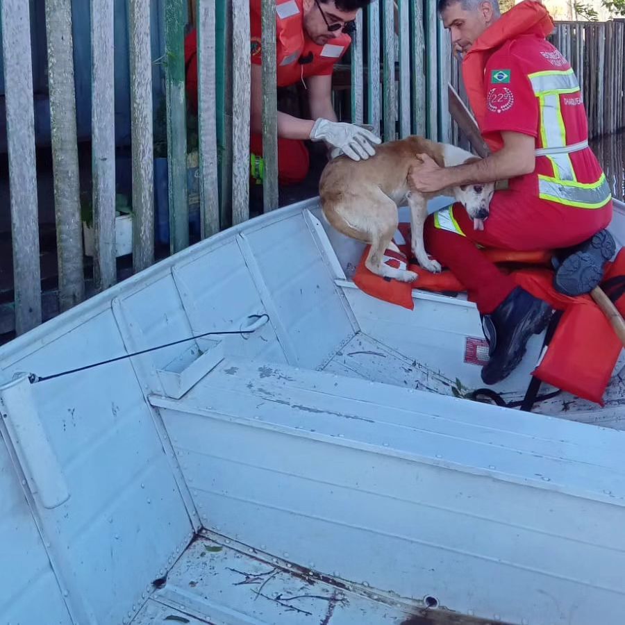 Bombeiros de Carlos Barbosa e Garibaldi ajudam atingidos por enchentes