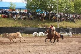 Está chegando o 23º  Rodeio CTG Sentinela da Serra 