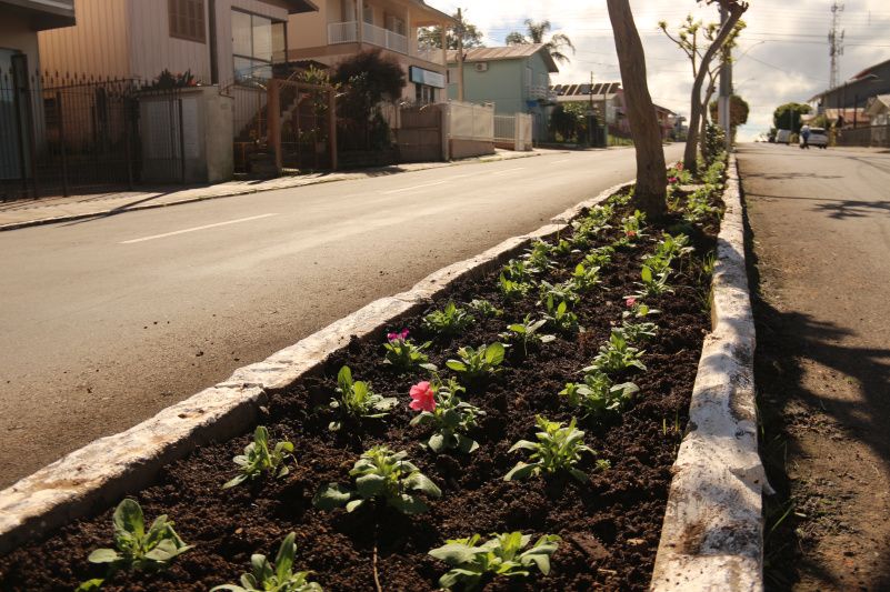  Canteiros centrais da Av. Saldanha Marinho passam por reforma