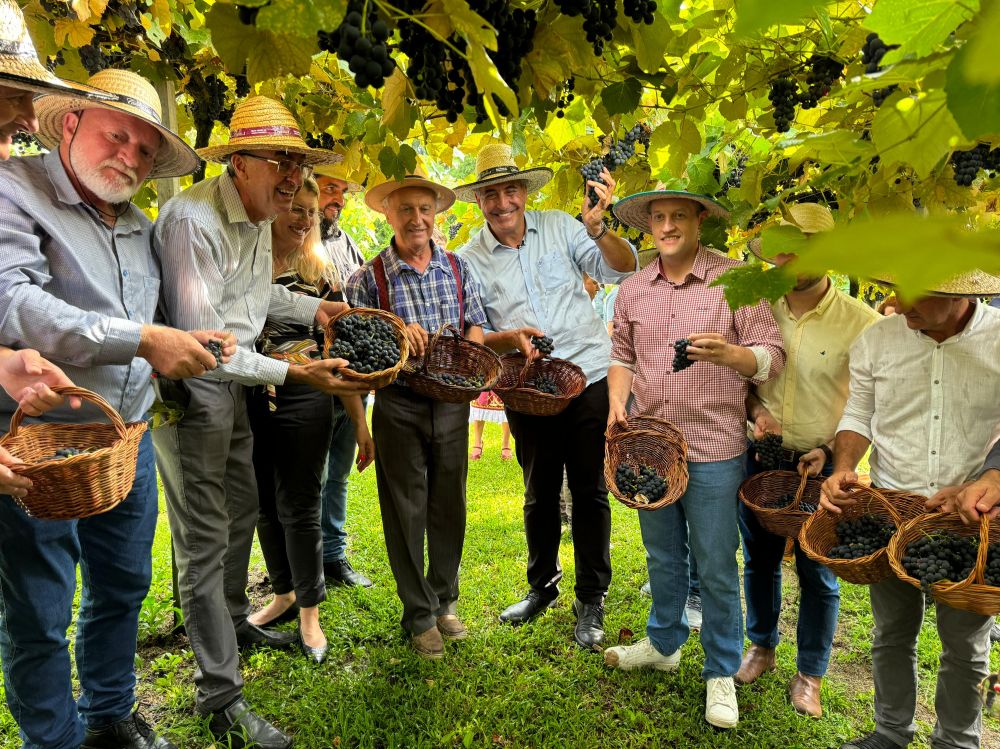 Abertura da Safra da Uva Estadual é realizada em Bento Gonçalves