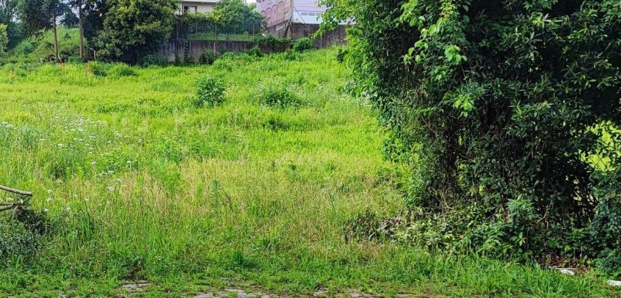   Prefeitura de Carlos Barbosa alerta sobre a sujeira e vegetação alta