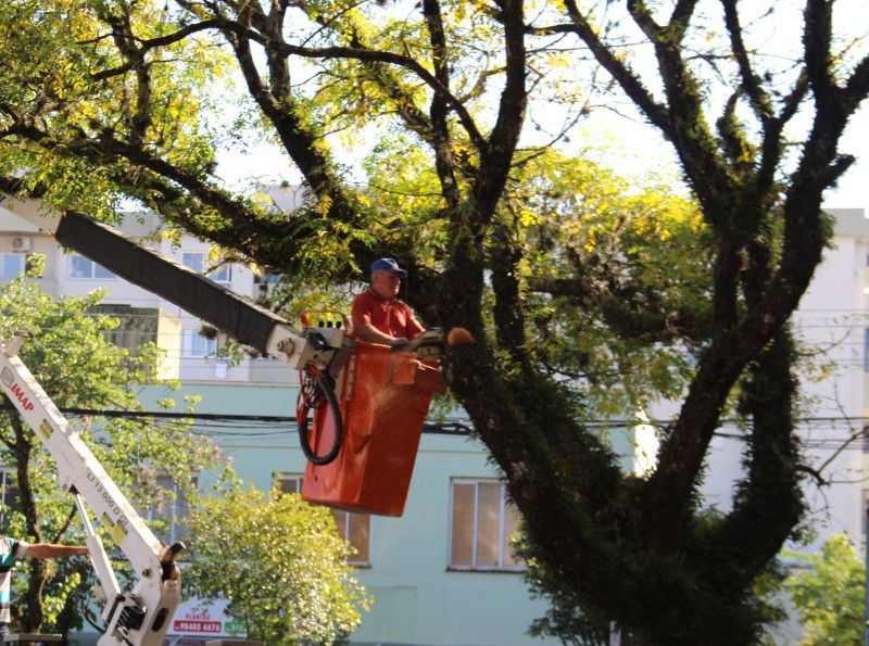 Prefeitura de Garibaldi realiza serviço preventivo de podas de árvores