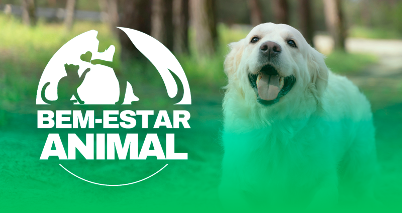 Prefeitura de Garibaldi cria departamento de “Bem-Estar Animal”