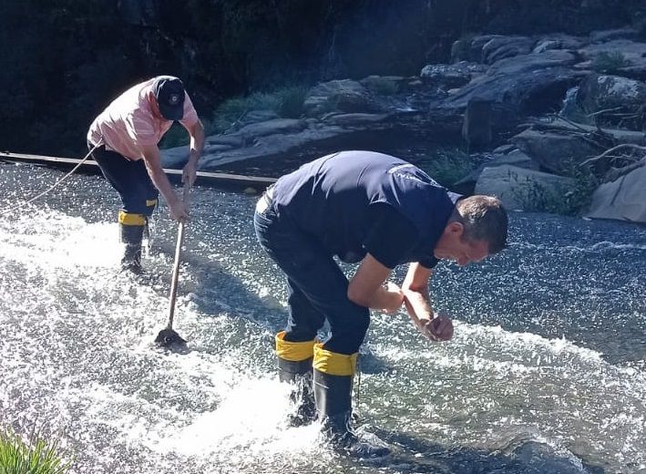   Garibaldi investe em mais de 200 litros de larvicida 