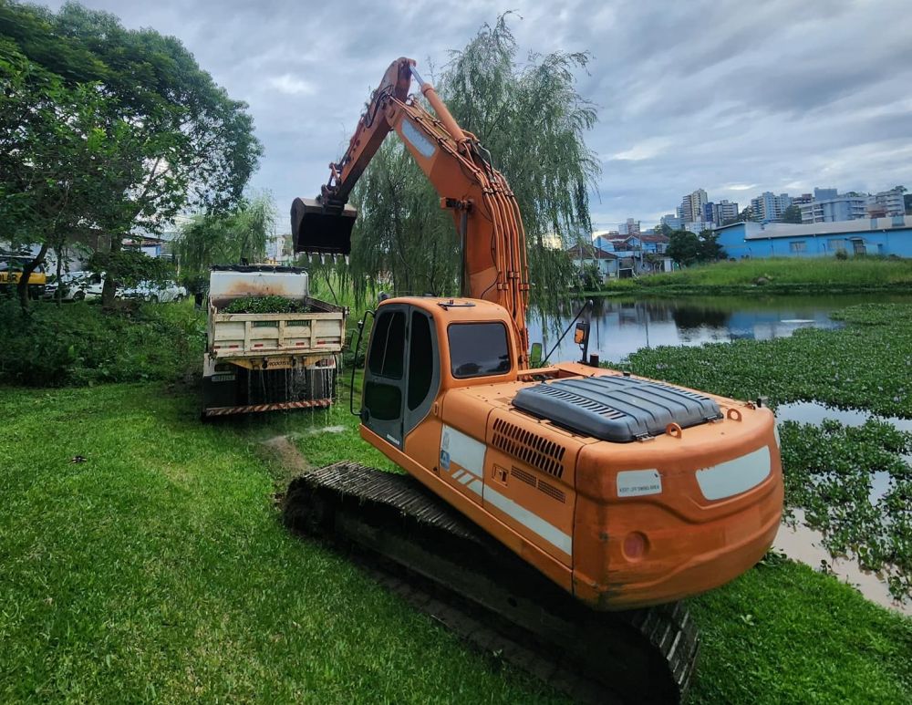 Marrequinhas são removidas do Lago da Fasolo, em Bento