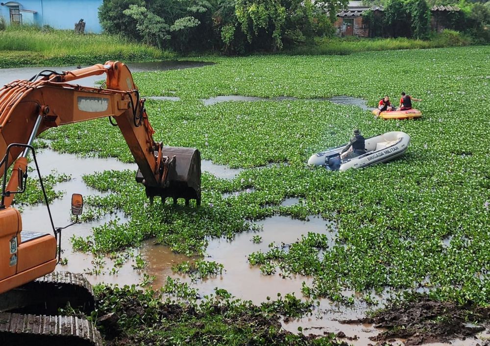 Marrequinhas são removidas do Lago da Fasolo, em Bento