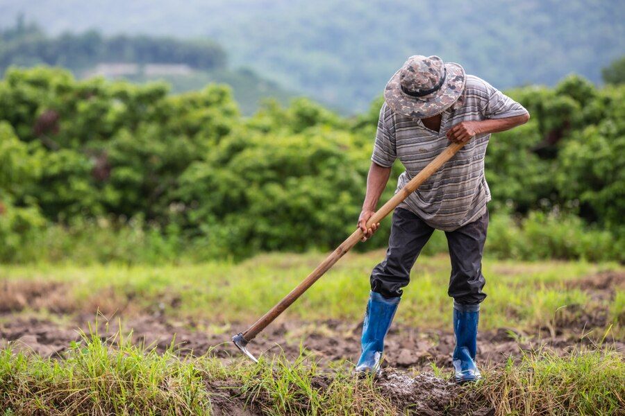 Aberto prazo para imóveis urbanos com destinação rural 