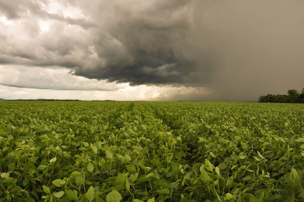 Umidade e chuva marcam a próxima semana