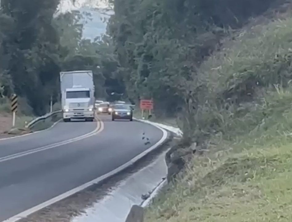 PRF flagra mais de 70 ultrapassagens proibidas durante uma manhã na BR-470