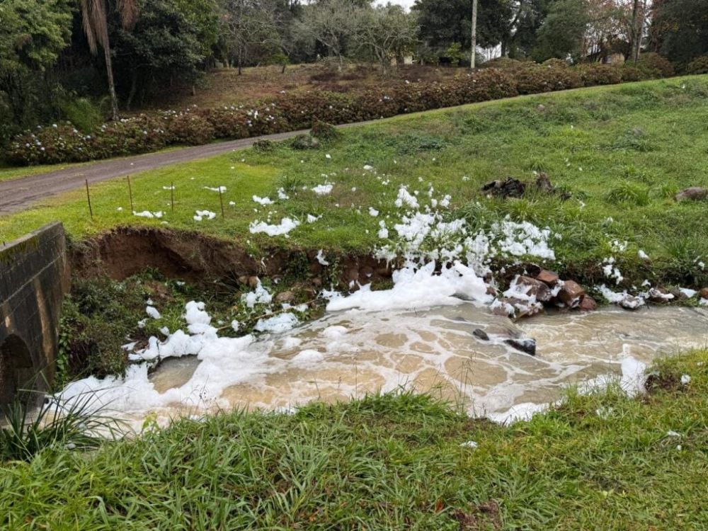 Poluição no Arroio Pedrinho entre Garibaldi e Bento Gonçalves
