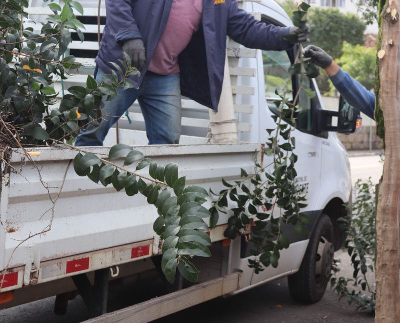 Secretaria de Serviços Urbanos assume recolhimento de galhos em Garibaldi