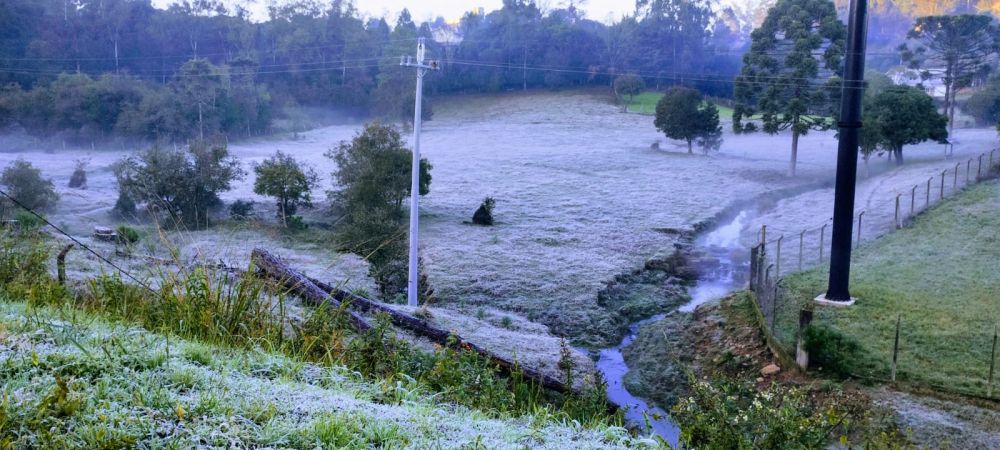 Garibaldi e Carlos Barbosa registram mínima de 3 º C com geada nesta quarta