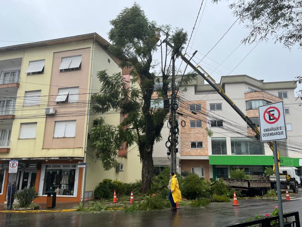 RGE corta arvores na área central de Garibaldi nesta sexta-feira