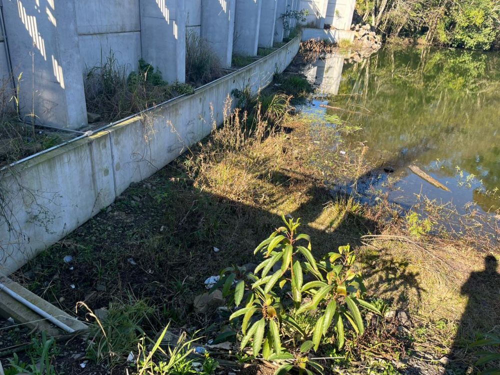 Pessoas ignoram placas e jogam lixo na barragem de Garibaldi