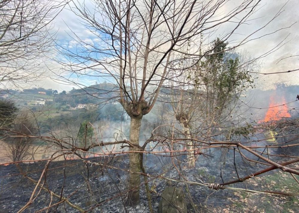 Incêndio consome área de mata no Vale dos Vinhedos em Bento Gonçalves