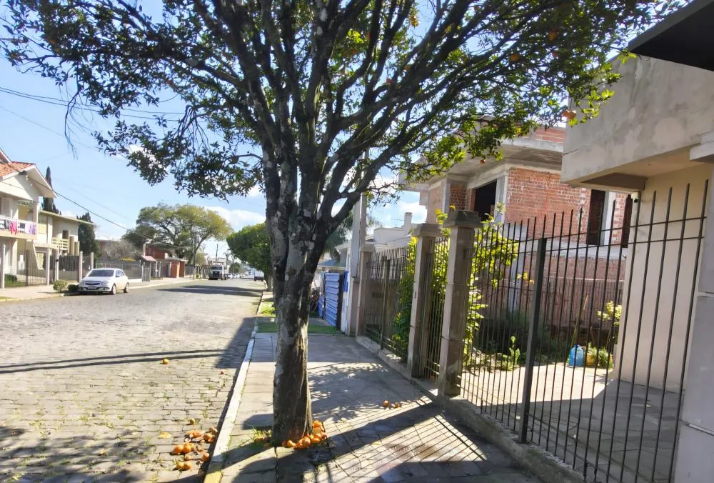 Homem joga água sanitária em mulheres que colhiam bergamotas