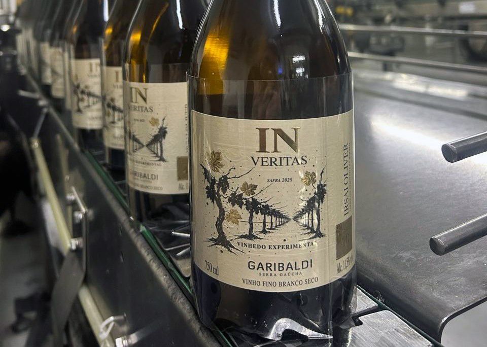 Vinícola Garibaldi engarrafa primeira safra do vinho Irsai Oliver   