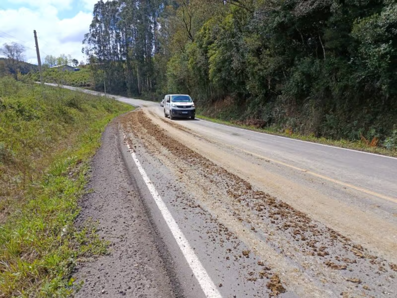 Estrada de Vila Rica amanhece coberta por esterco de galinha