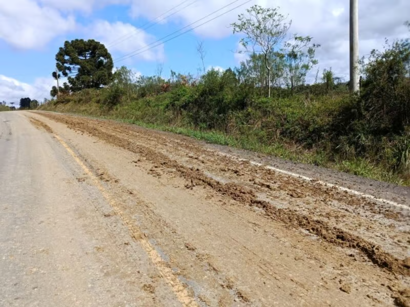 Estrada de Vila Rica amanhece coberta por esterco de galinha