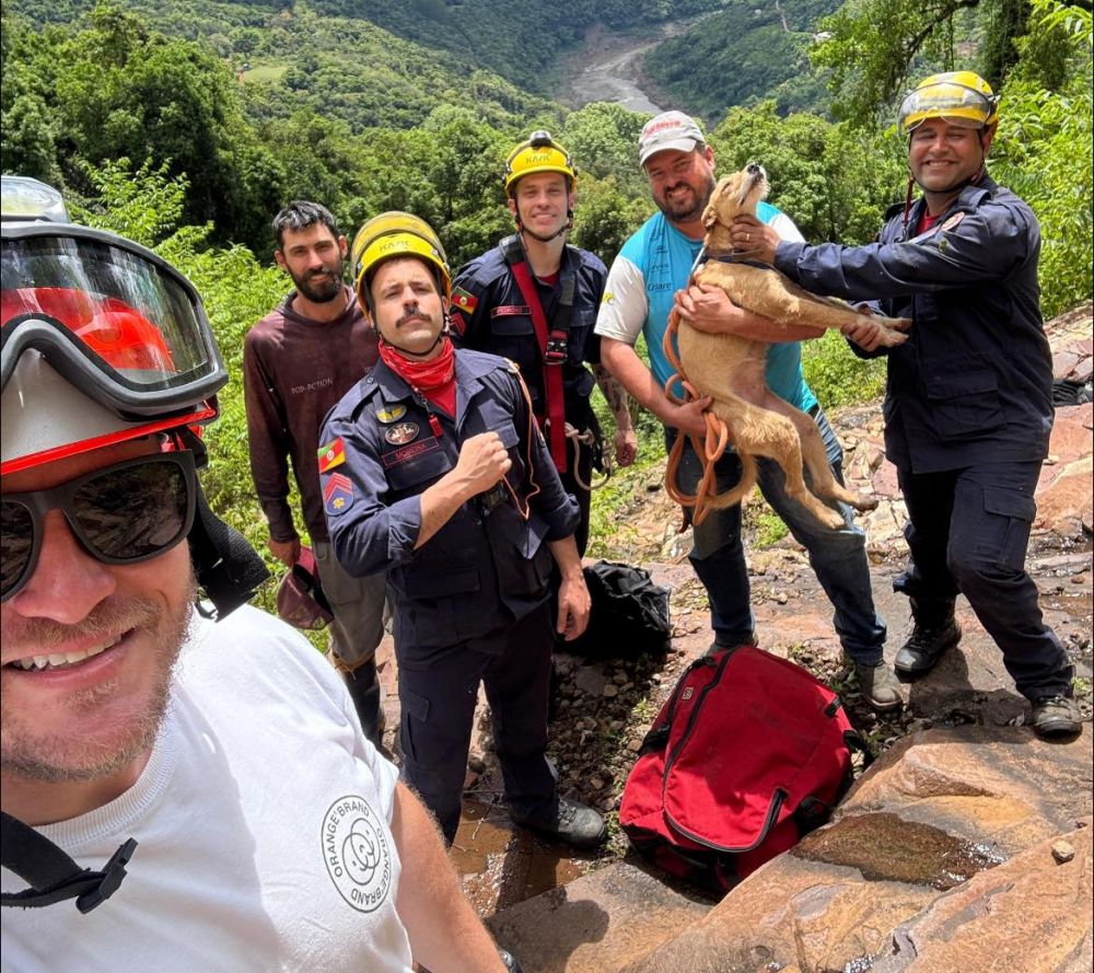 Bombeiros de Bento salvam cadela que passou quatro dias presa em mata