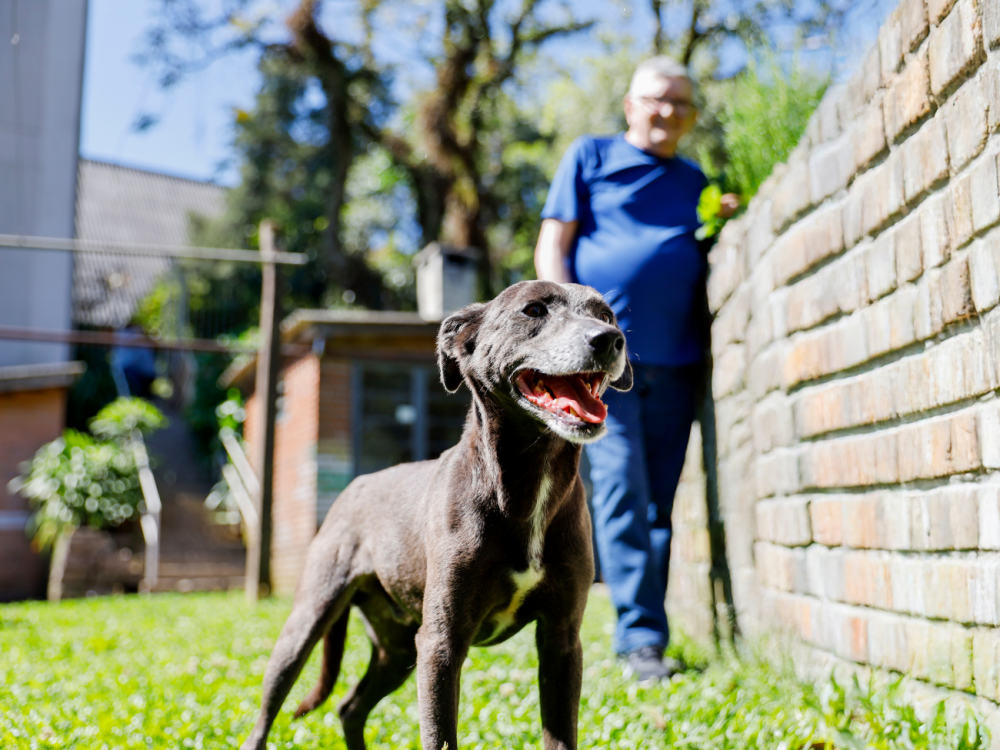 Conheça Bruce, o novo morador do Residencial Elisa Tramontina