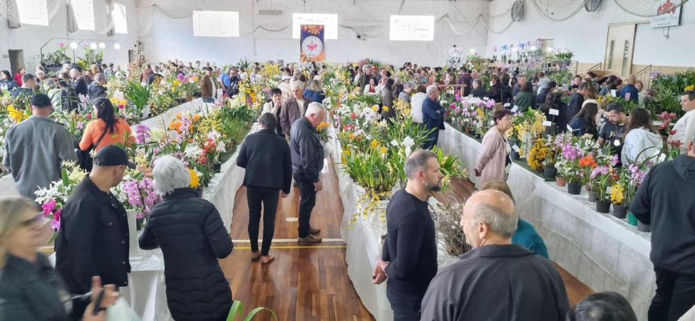 Sucesso de público marca a 40ª Exposição Regional de Orquídeas