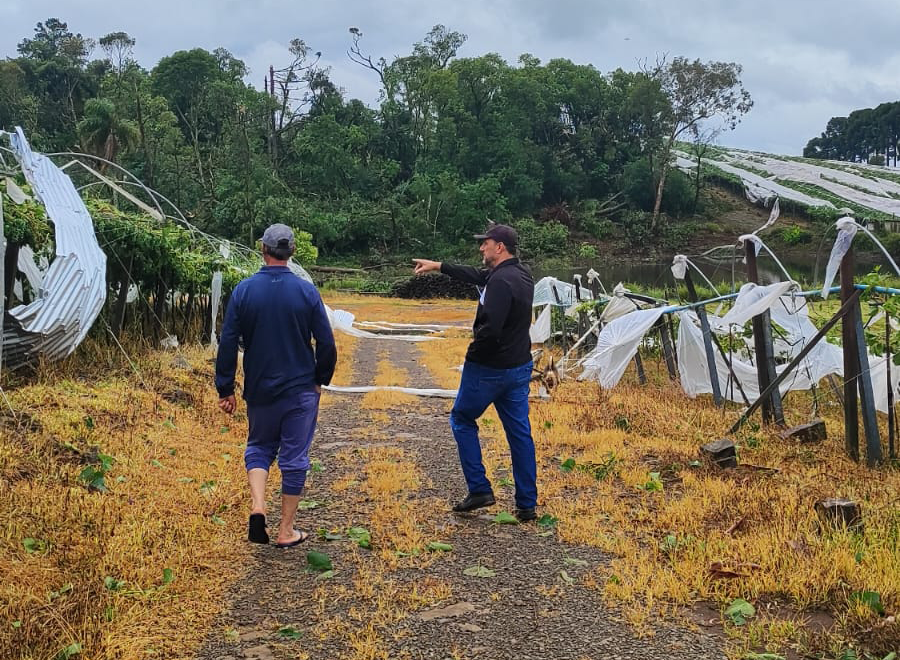 Flores da Cunha é o município da Serra mais atingido pelo temporal