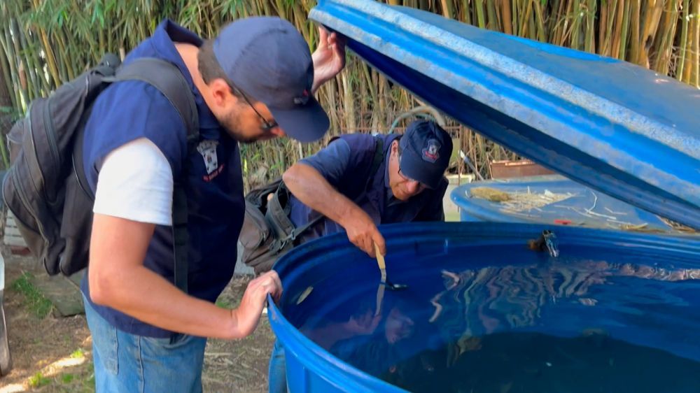 Painel mostra os bairros com mais focos do Aedes aegypti