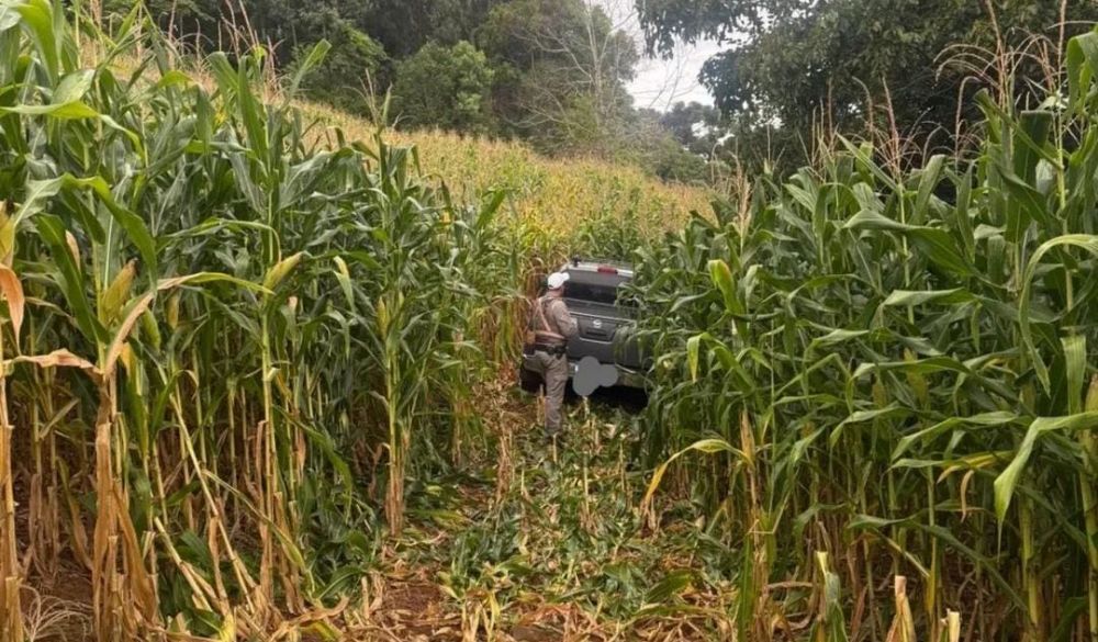 Agricultor idoso é rendido dentro de casa e sequestrado por criminosos armados