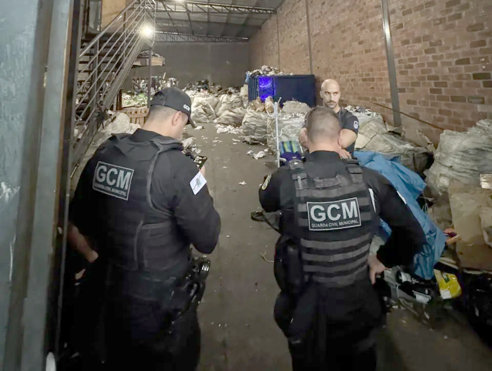Bento Gonçalves segue combatendo a infestação de ratos na cidade