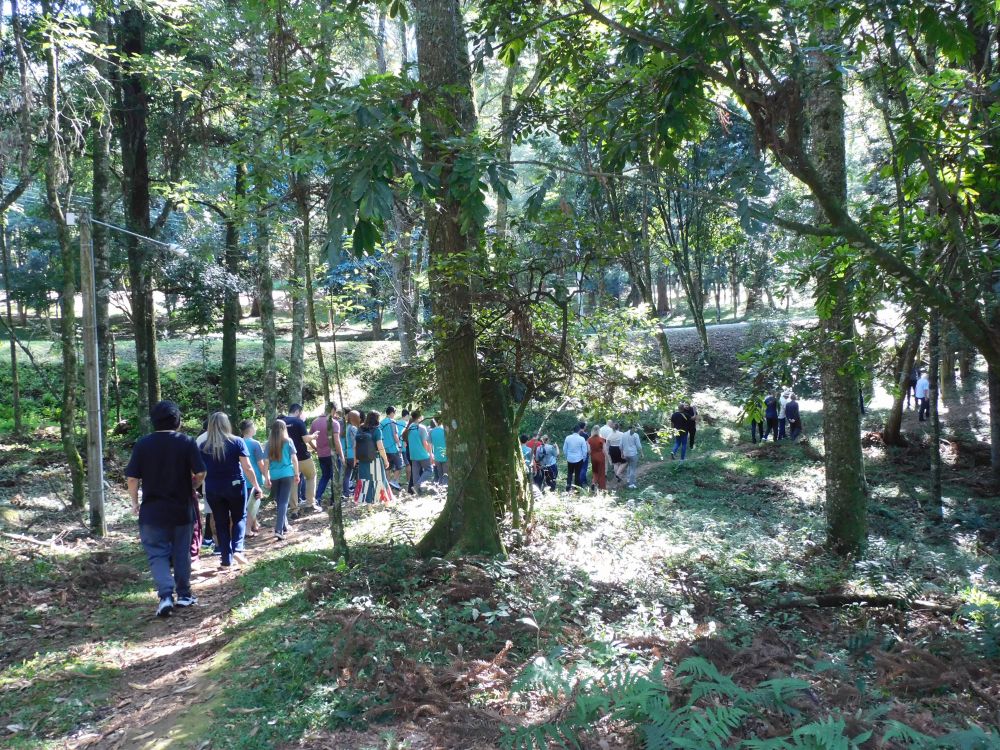  UCS Bento transforma área verde do campus em trilha ecológica