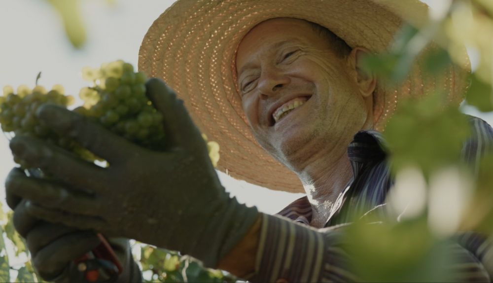 Vídeo da Vinícola Garibaldi emociona e revela o segredo da gigante do vinho