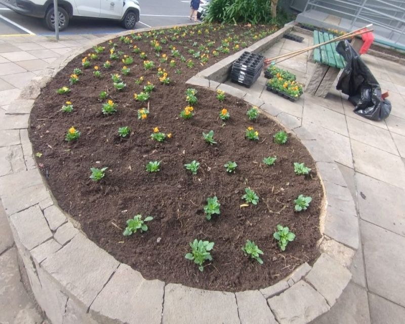 Carlos Barbosa ganha mais cor para o Festiqueijo com plantio de 5 mil flores