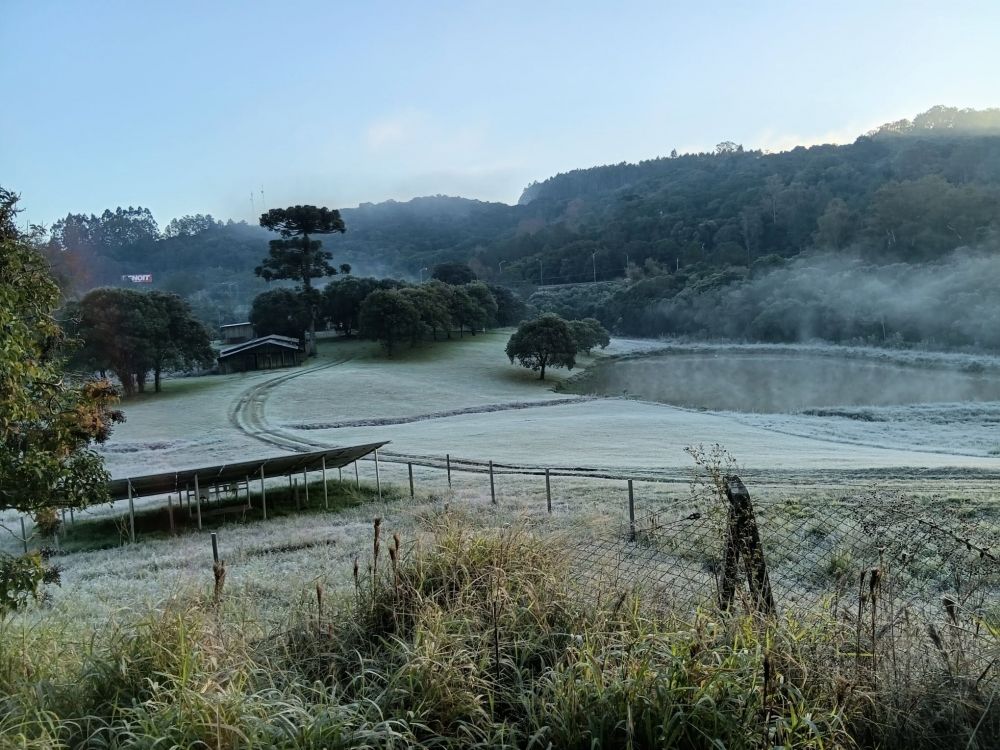 Temperaturas despencam e geada cobre de branco Garibaldi e Carlos Barbosa