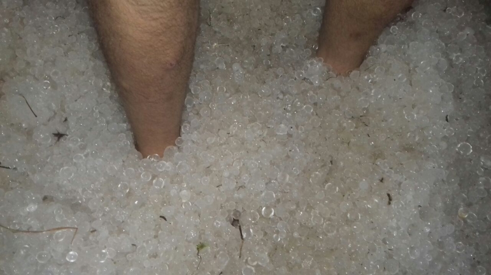 Granizo causa prejuízo em estufas de hortaliças e verduras em Garibaldi