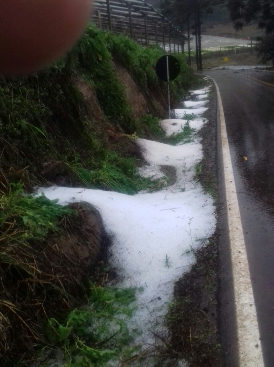 Granizo causa prejuízo em estufas de hortaliças e verduras em Garibaldi