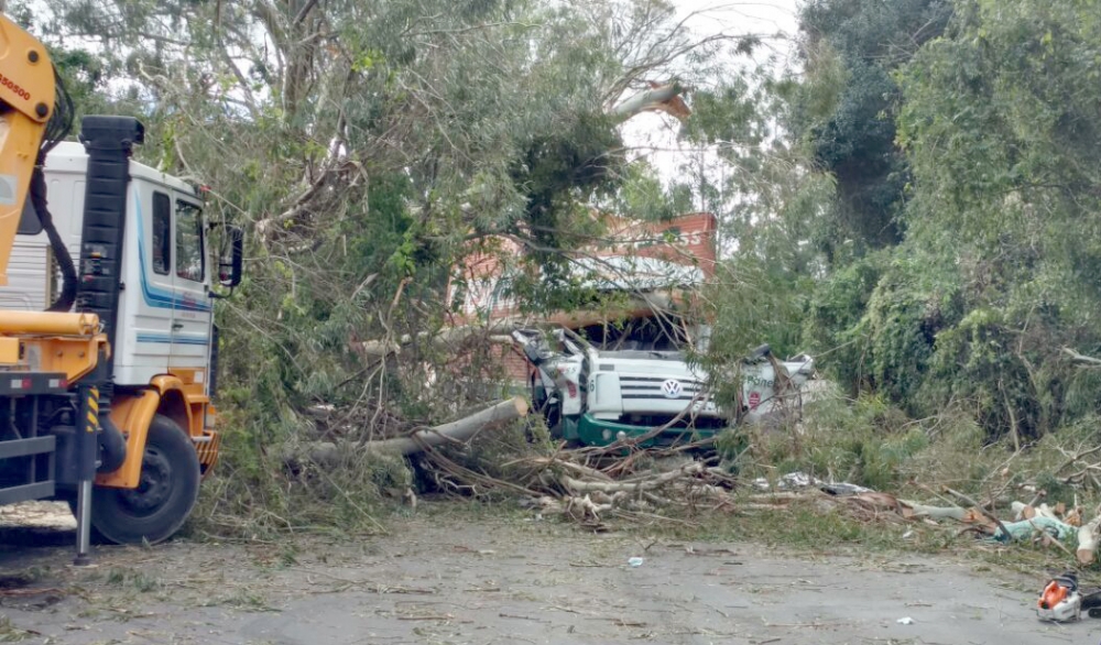 Árvore cai sobre caminhão e mata motorista na BR-470 em Bento