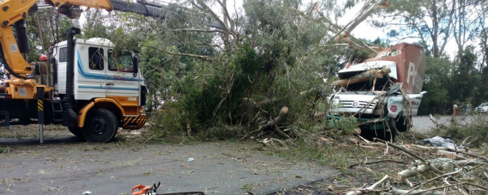 Árvore cai sobre caminhão e mata motorista na BR-470 em Bento