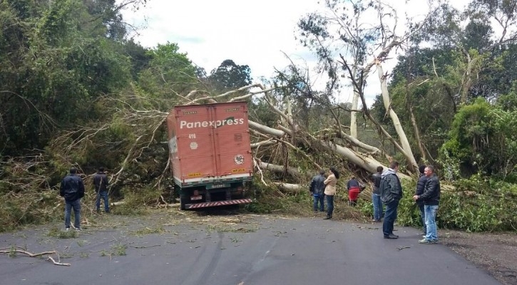 Árvore cai sobre caminhão e mata motorista na BR-470 em Bento