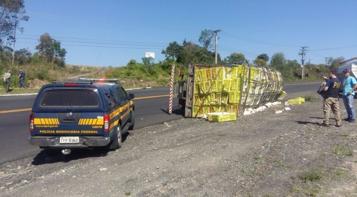 Caminhão com carga de frangos tomba na BR - 470