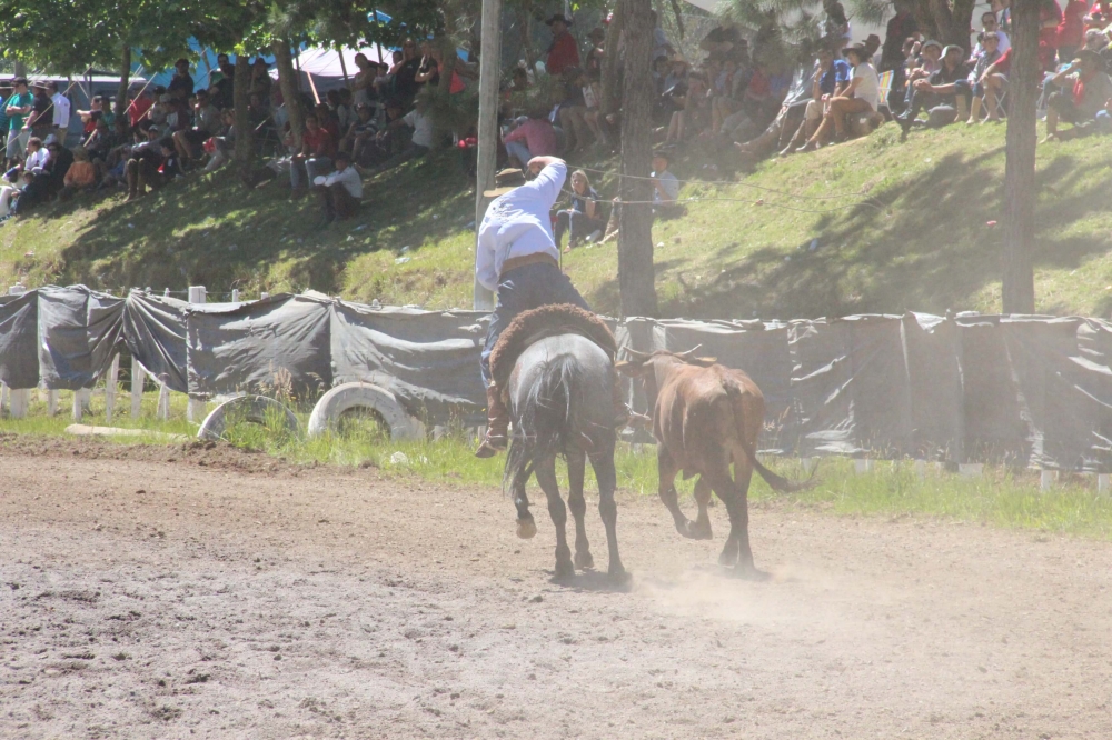 Milhares de pessoas participam do Rodeio Crioulo de Garibaldi