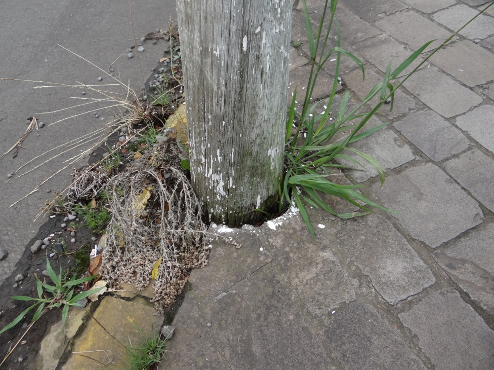 Poste de iluminação oferece riscos no bairro Alfândega