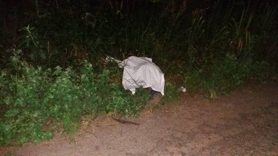 Corpo é encontrado na ERS 446 em São Vendelino